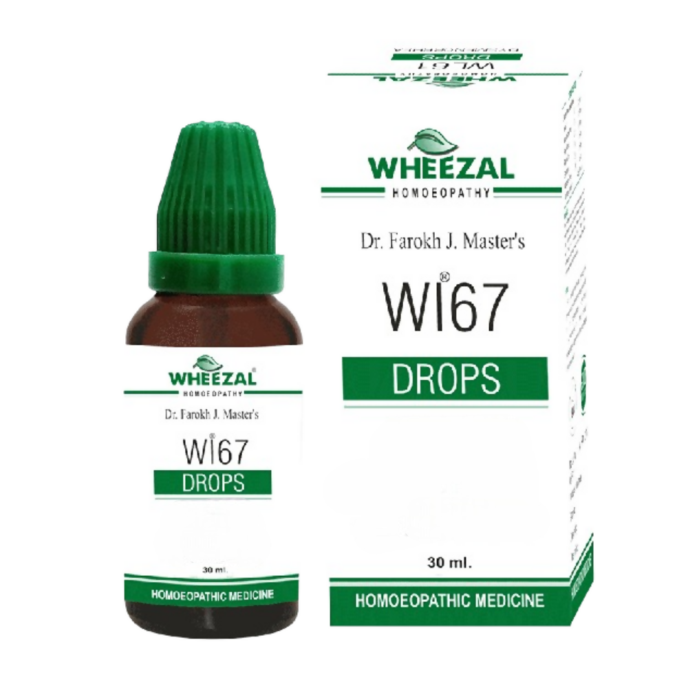 Wheezal Homeopathy WL 67 Drops | Grocsy