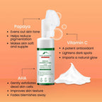 Alps Goodness Papaya, Vitamin C & AHA Glow Foaming Face Wash | Grocsy