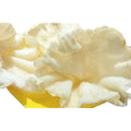 Olive Mithai Rice Papad White