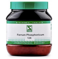Dr. Willmar Schwabe India Ferrum Phosphoricum Biochemic Tablets | Grocsy