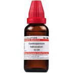 Dr. Willmar Schwabe India Cardiospermum Helicacabum Dilution | Grocsy