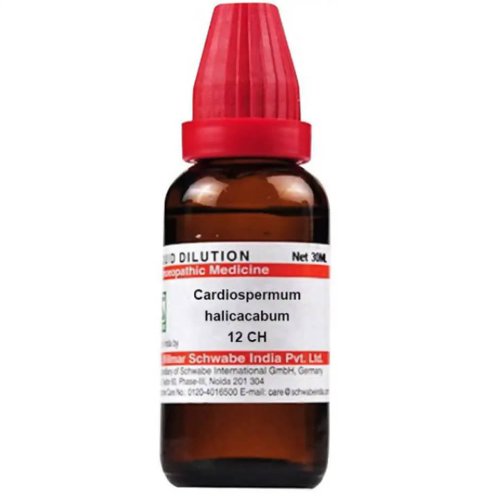 Dr. Willmar Schwabe India Cardiospermum Helicacabum Dilution | Grocsy