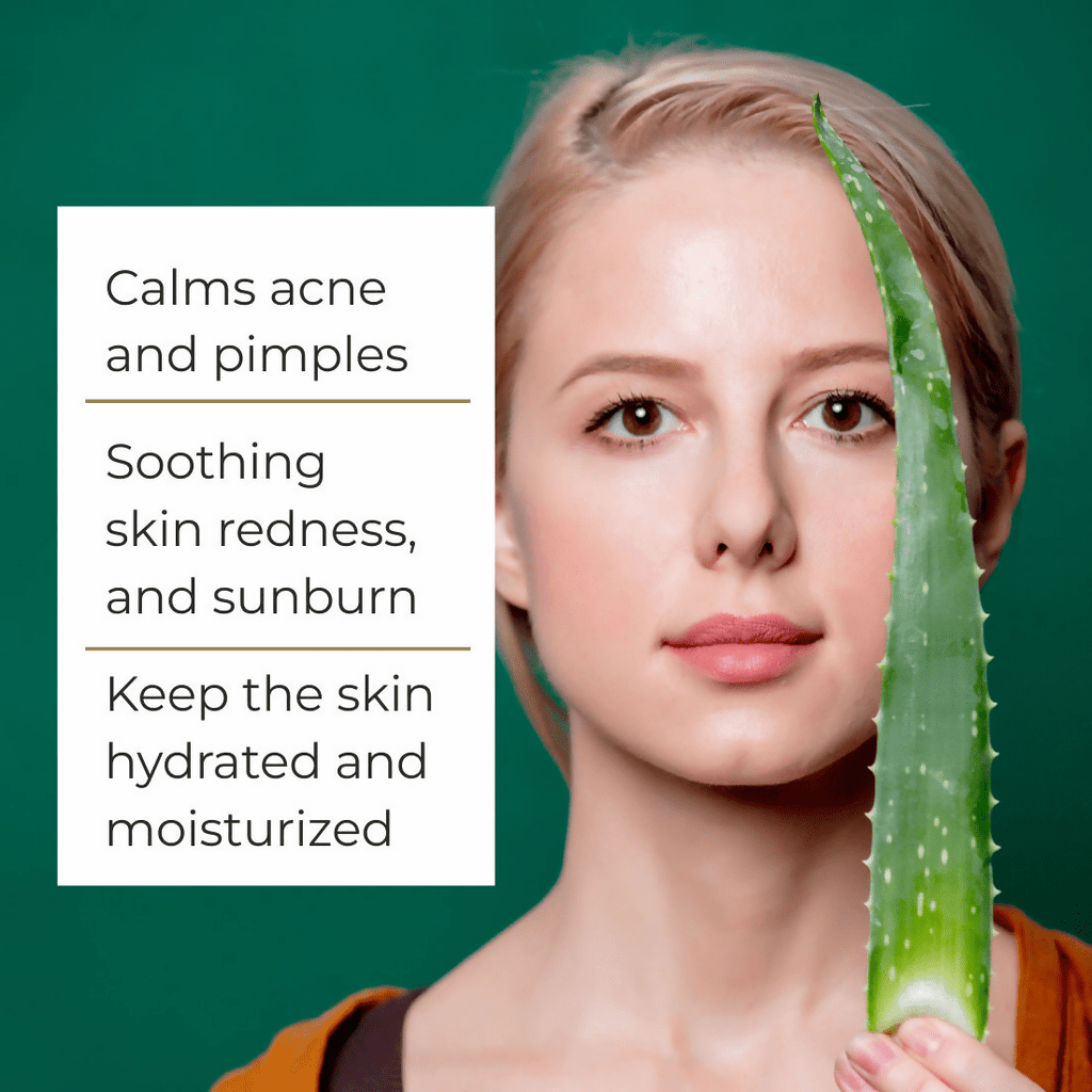 Ayusoul Ayurveda Rice Water Aloe Vera Gel For Body Skin Treatment | Grocsy
