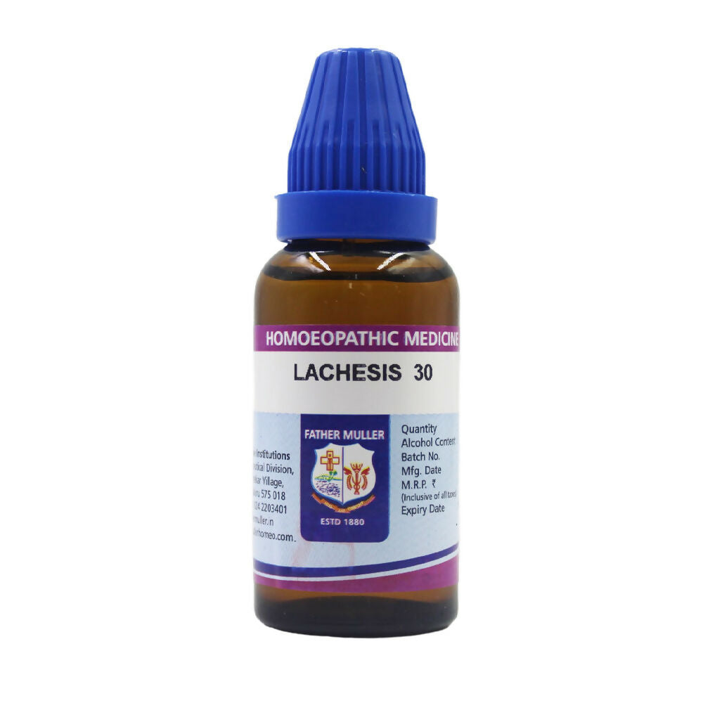 Father Muller Lachesis Dilution | Grocsy