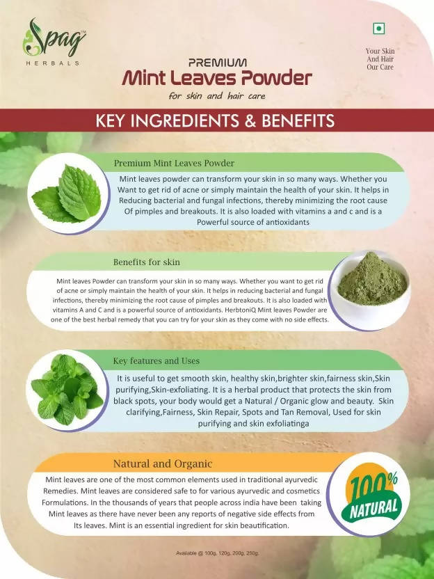 Spag Herbals Premium Mint Leaf Powder | Grocsy