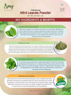 Spag Herbals Premium Mint Leaf Powder | Grocsy