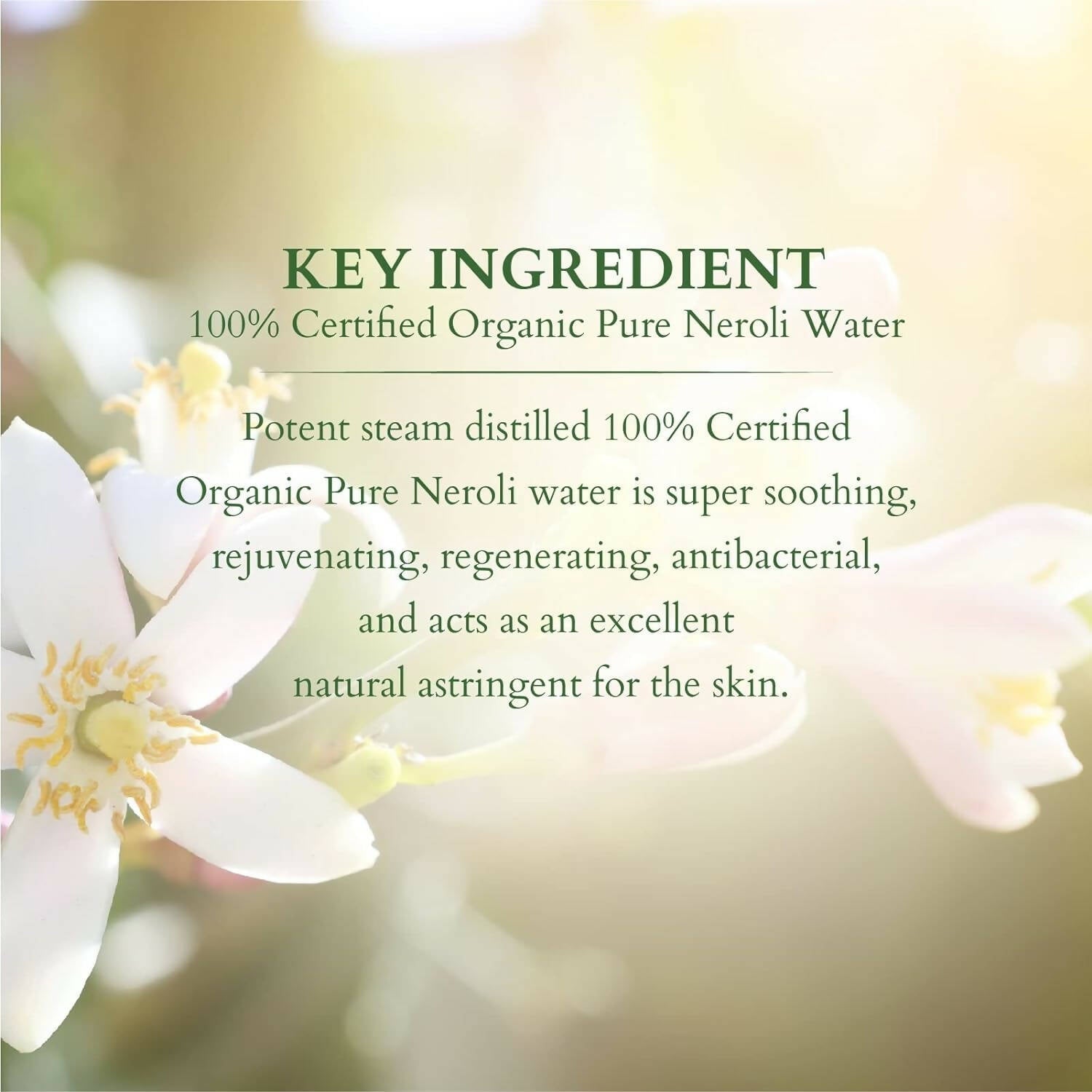 Lotus Organics+ 100% Pure Neroli Floral Water | Grocsy