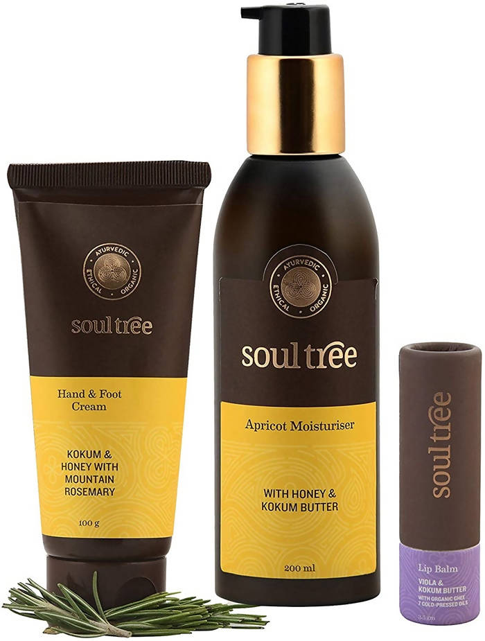 Soultree Hand And Foot Cream, Viola And Kokum Butter Lip Balm & Apricot Moisturiser Set | Grocsy