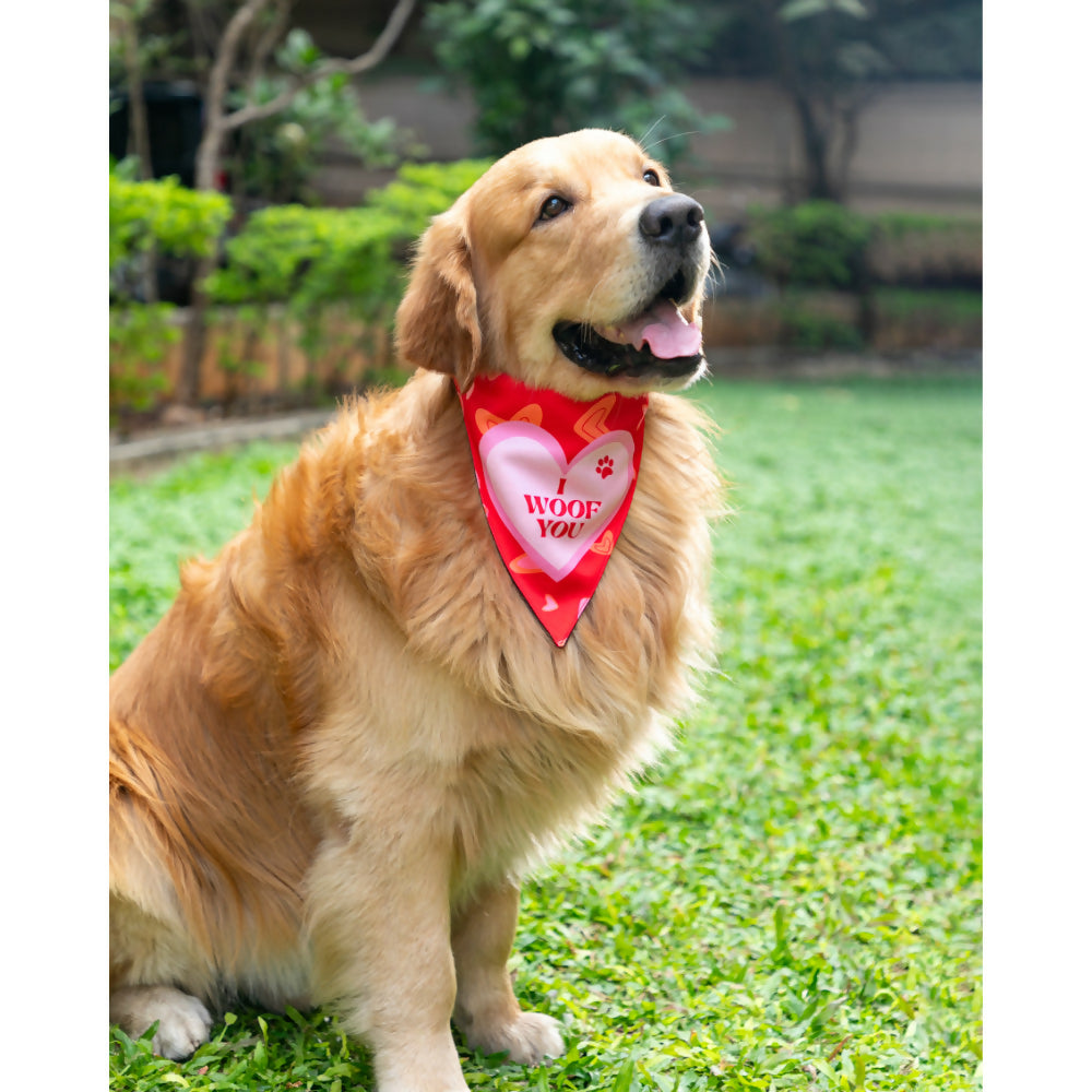 Waggety Dog Bandana - I Woof You, Soft Fabric, Stylish Pet Accessory for Dogs - Red | Grocsy