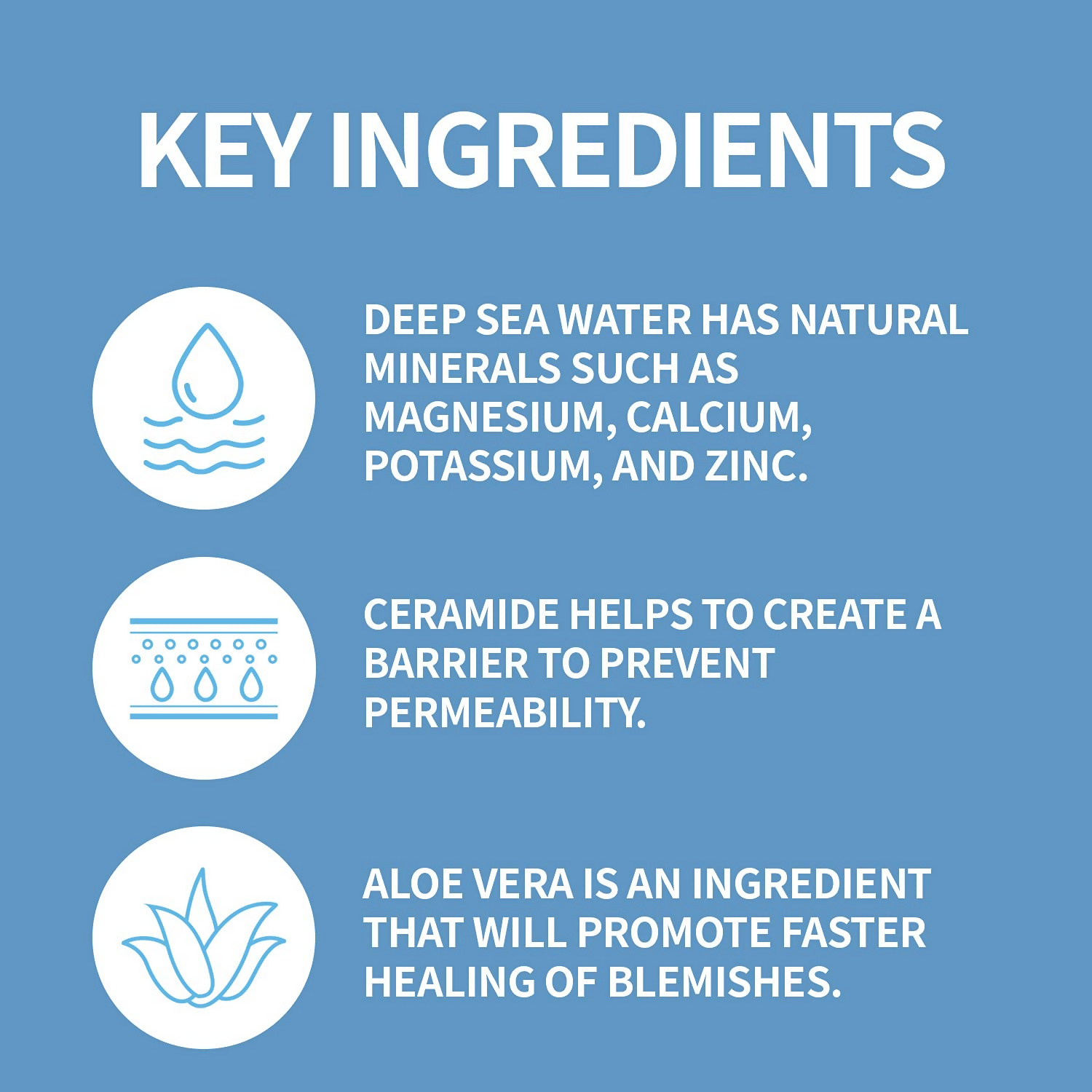 The Skin House Marine Active Serum | Grocsy