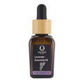 Omorfee Lavender Essential Oil | Grocsy