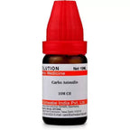 Dr. Willmar Schwabe India Carbo Animalis Dilution | Grocsy