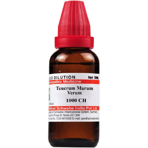 Dr. Willmar Schwabe India Teucrium Marum Verum Dilution | Grocsy