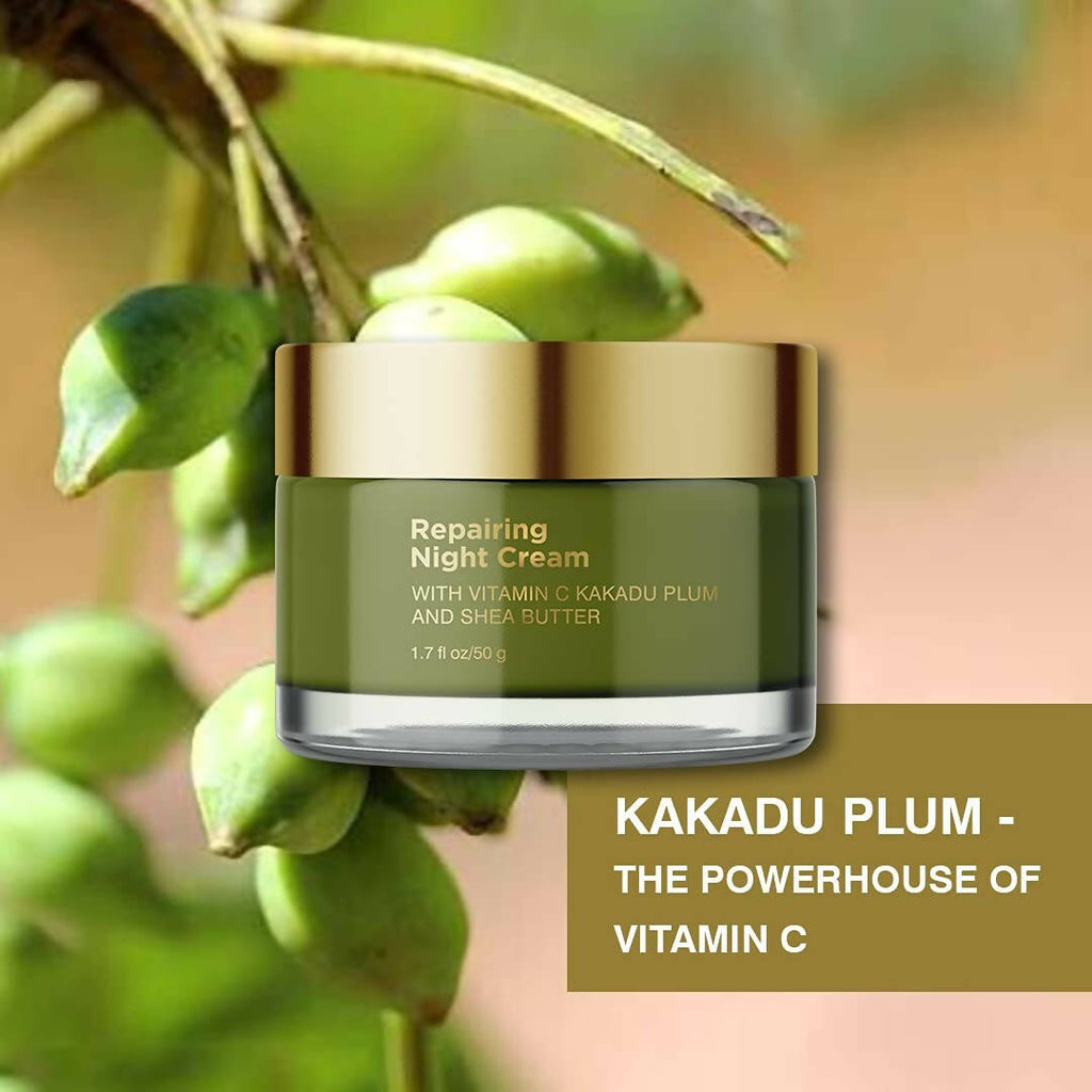Coccoon Repairing Night Cream With Vitamin C Kakadu Plum and Shea Butter | Grocsy