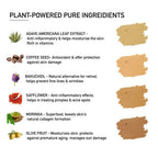 BlushBee Organic Beauty Concealer Bc401 For Fair Tone | Grocsy
