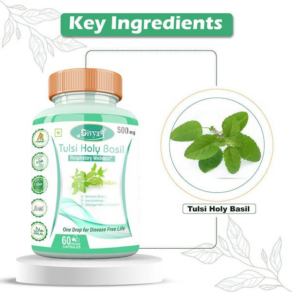 Divya Shree Tulsi Holy Basil Veggie Capsules | Grocsy