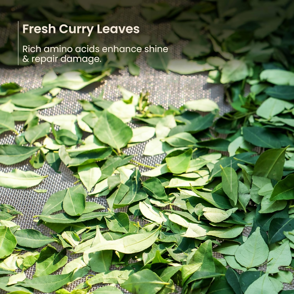 Nat Habit Curry Cider Nutri-Conditioner | Grocsy