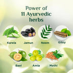 Vansaar 45+ Diab Balance Juice | Grocsy