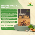 Grabpure Mamra Almonds/Mamra Badam Dry Fruits | Grocsy