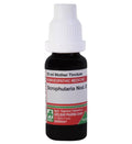 Adel Homeopathy Scrophularia Nod Mother Tincture Q | Grocsy