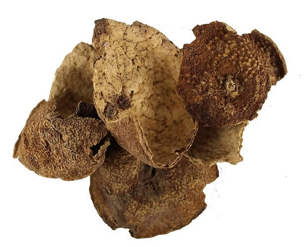 Dark Forest Orange Peel Powder | Grocsy
