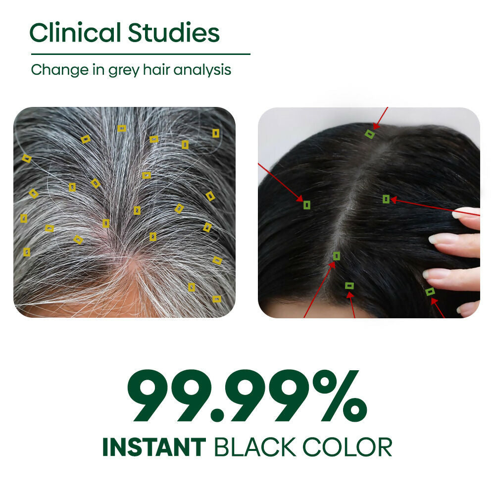 Rishi Natural Black Hair Color | Grocsy