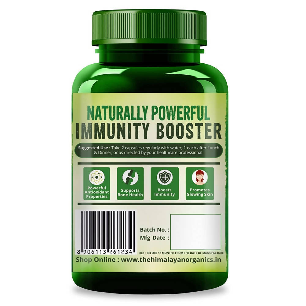 Himalayan Organics Plant Based Vitamin C + Zinc Double Immune Support Vegetarian Capsules | Grocsy