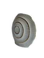 Sun Mun Decors White & Golden Shell Shaped Vase | Grocsy