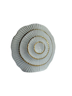 Sun Mun Decors White & Golden Shell Shaped Vase | Grocsy