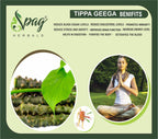 Spag Herbals Amrutha Balli Giloy Powder | Grocsy