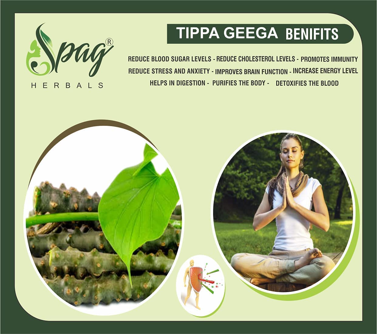Spag Herbals Amrutha Balli Giloy Powder | Grocsy