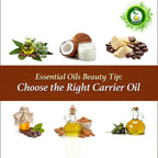 R V Essential Pure Cashew Nut Carrier Oil | Grocsy