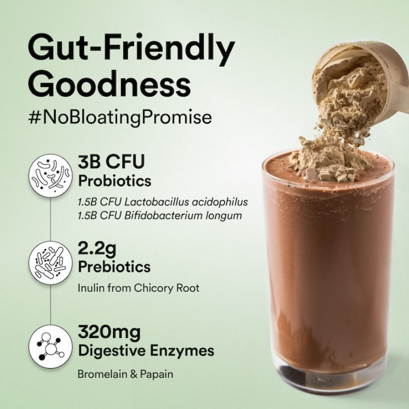 Wellbeing Nutrition Organic Plant Protein Isolate Dark Chocolate Hazelnut, 3B CFU Probiotics | Grocsy