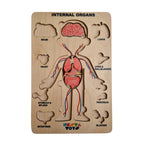 Nesta Toys Human Body | Internal Organs Wooden Puzzle | Grocsy