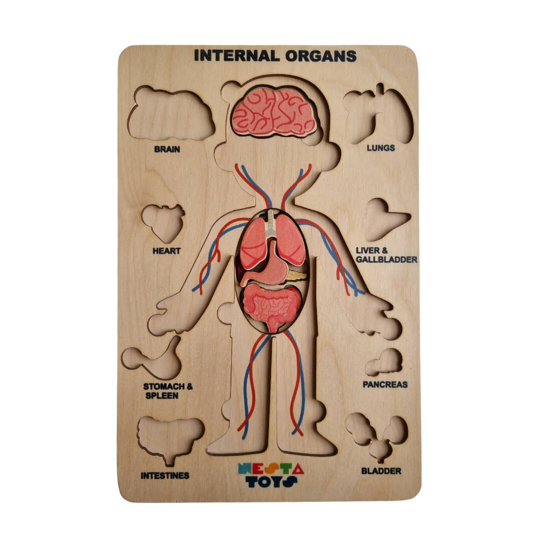 Nesta Toys Human Body | Internal Organs Wooden Puzzle | Grocsy