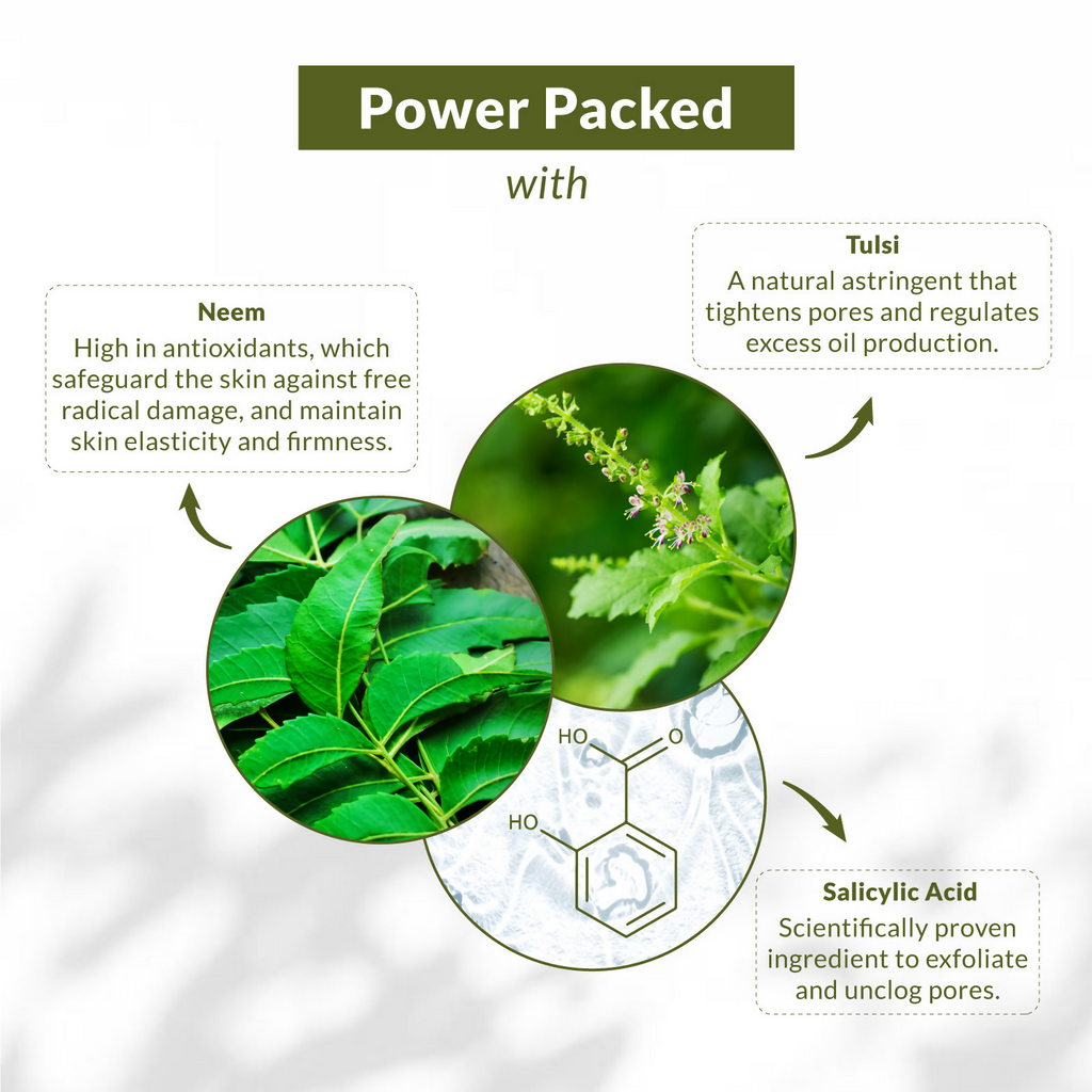 Lotus Botanicals Neem, Tulsi & Salicylic Acid Gentle Foaming Face Wash | Grocsy