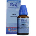 St. George's Bach Flower Remedies Larch Dilution | Grocsy