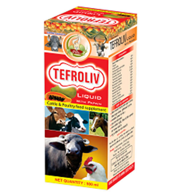 Basic Ayurveda Tefroliv Liquid | Grocsy