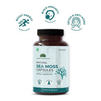 Saptamveda Irish Sea Moss 500mg Capsules | Grocsy