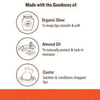 Soultree Ayurvedic Lipstick Massive Mauve 605 | Grocsy