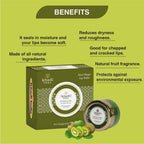 Khadi Veda Kiwi Magic Lip Balm | Grocsy