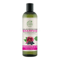 Petal Fresh Pure Color Protection Pomegranate & Acai Shampoo | Grocsy