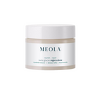 Meola Swiss Glacier Night Cream With Niacinamide | Grocsy