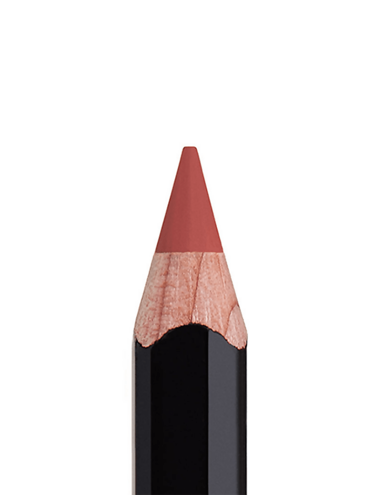 Anastasia Beverly Hills Lip Liner - Dusty Rose | Grocsy