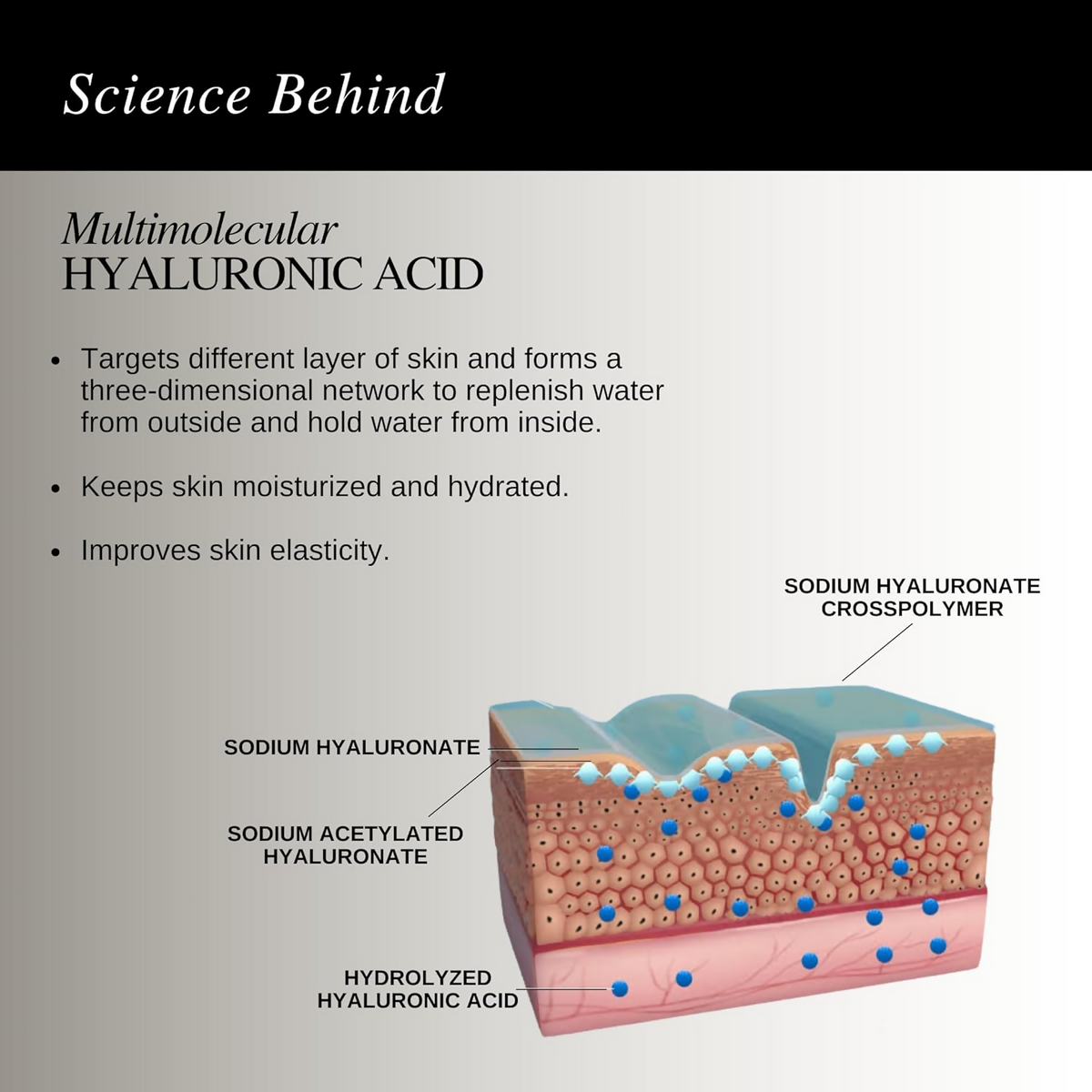 The Formularx Hydra Veil Malazia Hyaluronic Acid Gel Moisturizer | Grocsy