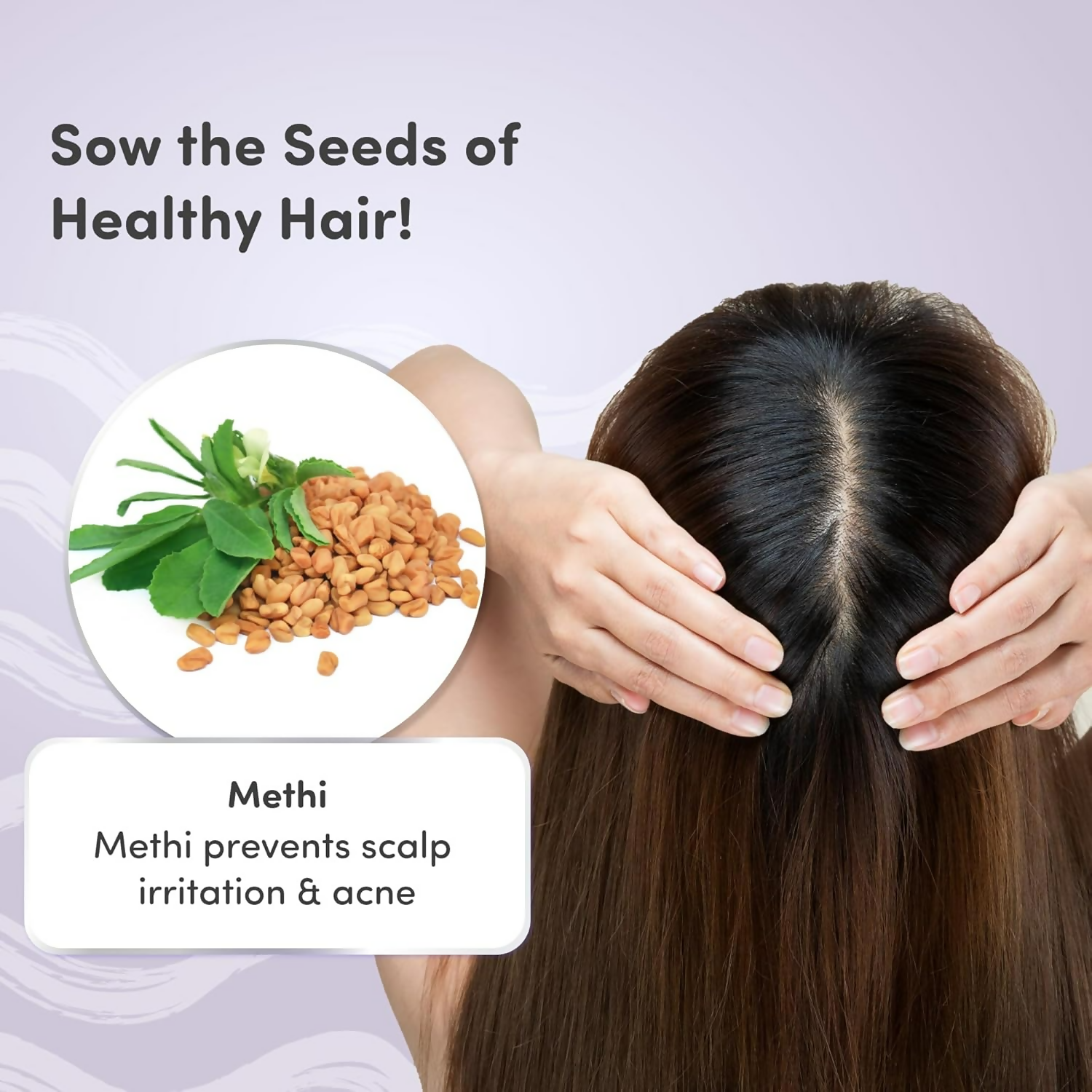 Mylo Care Anti Hair Fall Shampoo | Grocsy