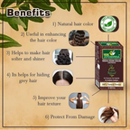 VedicAyurveda Henna Based Hair Colour - dark brown & Chestnut Brown | Grocsy