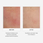 Miduty by Palak Notes EpiShield Day Serum | Grocsy