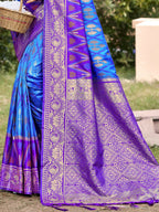 Shree Shyam Fashion Sky Blue Pochampally Silk Saree | Grocsy