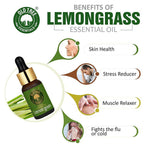 Old Tree Lemongrass Essential Oil | Grocsy